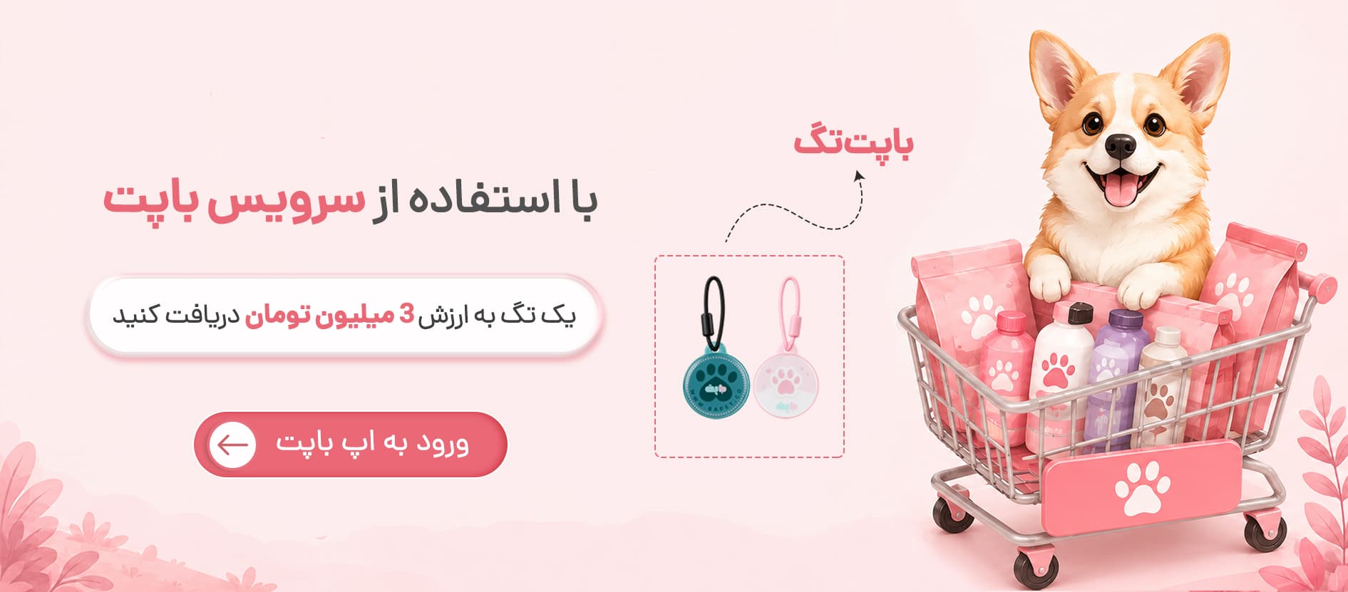 اپلیکیشن باپت