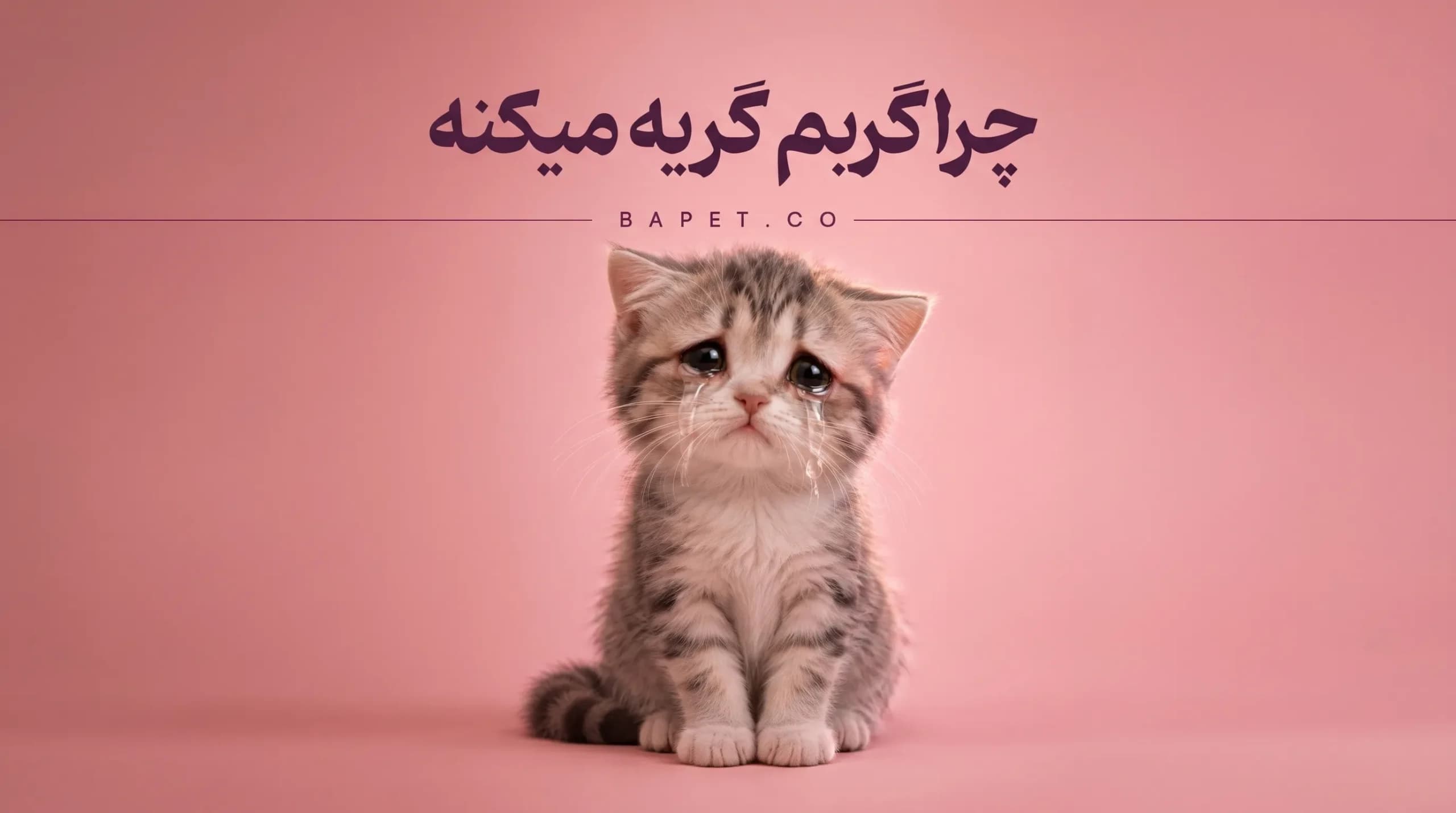 چرا گربم گریه می‌کنه؟