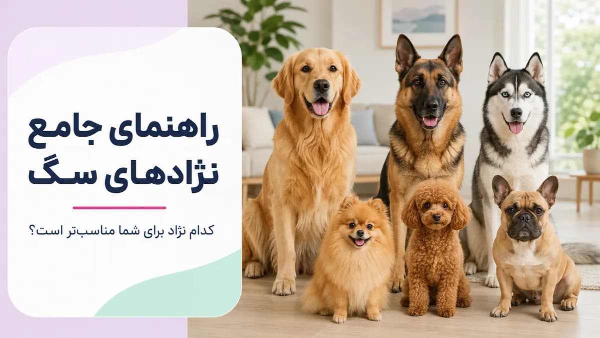 کدام نژاد سگ برای زندگی شما مناسب‌تر است؟