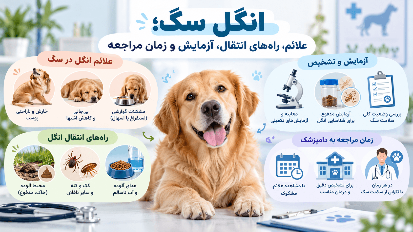 انگل سگ؛ علائم، راه‌های انتقال، آزمایش و زمان مراجعه به دامپزشک