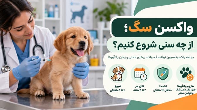 واکسن سگ؛ از چه سنی شروع کنیم؟ برنامه واکسیناسیون توله‌سگ و سگ بالغ
