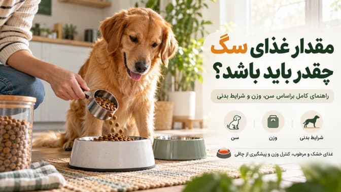 مقدار غذای سگ چقدر باید باشد؟ راهنمای کامل بر اساس سن، وزن و شرایط بدنی