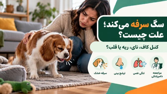سگ سرفه می‌کند؛ کنل کاف، نای، ریه یا قلب؟ علت‌ها و زمان مراجعه