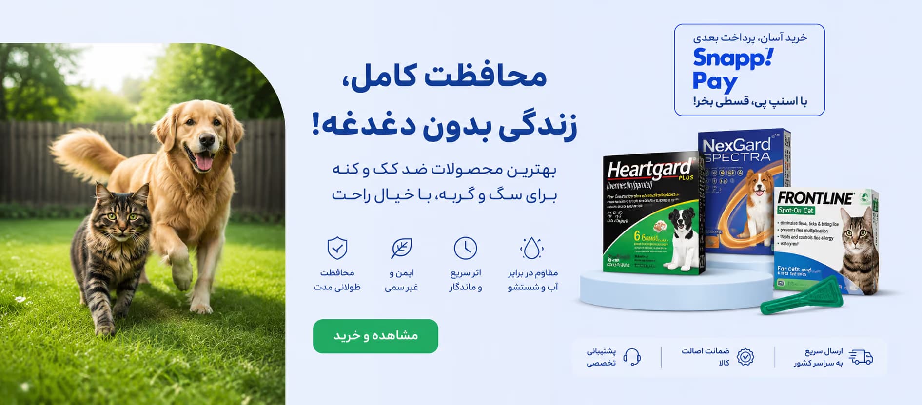 کک و کنه