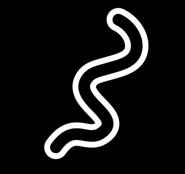 باپت - سرویس آموزش