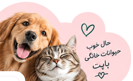 سگ و گربه باپت