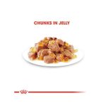 پوچ گربه ژله ای رویال کنین مناسب پوست و مو Royal Canin Intense Beauty in Jelly وزن 85 گرم - Image 4
