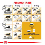غذای خشک گربه رویال کنین مناسب کنترل اشتها Royal Canin Appetite Control Care وزن 2 کیلوگرم - Image 3