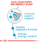 غذای خشک توله سگ نژاد کوچک رویال کنین Royal Canin X-small Puppy/Chiot وزن ۱.۵ کیلوگرم - Image 4