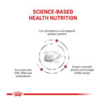 غذای خشک گربه رنال رویال کنین Royal Canin Renal وزن 2 کیلوگرم - Image 3