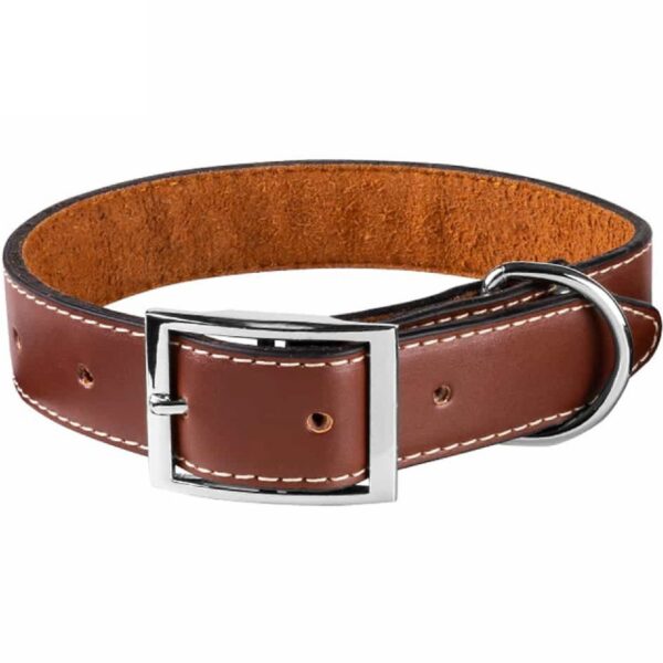 قلاده گردنی سگ نیناپت مدل ساده Ninapet Simple Dog Collar سایز ۶