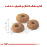 غذای خشک گربه فیت رویال کنین Royal Canin Regular Fit 32 وزن 2 کیلوگرم - Image 2