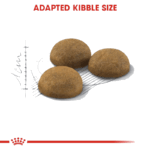 غذای خشک گربه رویال کنین Royal Canin Indoor Home Life Long Hair وزن 2 کیلوگرم - Image 2