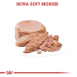 کنسرو استاتر سگ رویال کنین مادر و بچه Royal Canin Starter Mother & Babydog وزن 195 گرم - Image 4