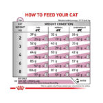 غذای خشک گربه رنال رویال کنین Royal Canin Renal وزن 2 کیلوگرم - Image 5