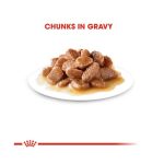 پوچ گربه هیربال رویال کنین Royal Canin Hairball Care وزن 85 گرم - Image 5