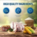 غذای خشک بچه گربه با طعم مرغ رفلکس پلاس Reflex Plus Kitten Chicken وزن 1.5 کیلوگرم - Image 5