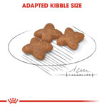 غذای خشک سگ رویال کنین مینی ادالت Royal Canin Mini Adult Dog Dry Food وزن 2 کیلوگرم - Image 3