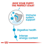 پوچ توله سگ نژاد کوچک رویال کنین Royal Canin Mini Puppy وزن 85 گرم - Image 4