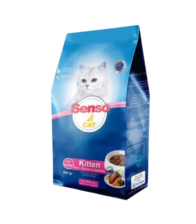 غذای خشک بچه گربه