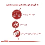 غذای خشک گربه فیت رویال کنین Royal Canin Regular Fit 32 وزن 2 کیلوگرم - Image 4