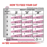 پوچ گربه رنال رویال کنین با طعم مرغ Royal Canin Renal Chicken وزن 85 گرم - Image 5