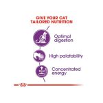 غذای خشک گربه بالغ با گوارش حساس رویال کنین Royal Canin Sensible Adult Cats وزن 2 کیلوگرم - Image 3