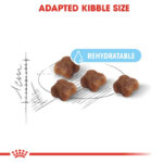 غذای خشک مادر و بچه گربه رویال کنین Royal Canin Mother & Babycat وزن 2 کیلوگرم - Image 4