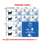 غذای خشک گربه رویال کنین Royal Canin Indoor Home Life Long Hair وزن 2 کیلوگرم - Image 4