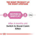 غذای خشک مادر و بچه گربه رویال کنین Royal Canin Mother & Babycat وزن 2 کیلوگرم - Image 5
