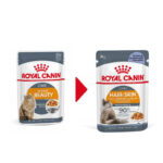 پوچ گربه ژله ای رویال کنین مناسب پوست و مو Royal Canin Intense Beauty in Jelly وزن 85 گرم - Image 2