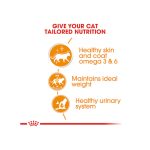 پوچ گربه ژله ای رویال کنین مناسب پوست و مو Royal Canin Intense Beauty in Jelly وزن 85 گرم - Image 6