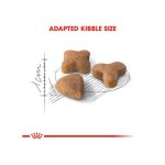 غذای خشک گربه بالغ با گوارش حساس رویال کنین Royal Canin Sensible Adult Cats وزن 2 کیلوگرم - Image 4