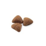 غذای خشک گربه رویال کنین ایندور لایف Royal Canin Life Indoor Cat Dry Food وزن 2 کیلوگرم - Image 2