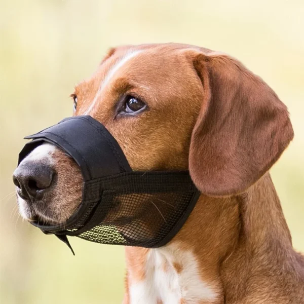 پوزه‌بند سگ تریکسی سایز L Trixie Muzzle for Dogs Size L