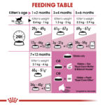 غذای خشک مادر و بچه گربه رویال کنین Royal Canin Mother & Babycat وزن 2 کیلوگرم - Image 7