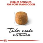 غذای خشک گربه رویال کنین مناسب کنترل اشتها Royal Canin Appetite Control Care وزن 2 کیلوگرم - Image 2