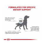 غذای خشک سگ مراقبت از پوست رویال کنین Royal Canin Skin Care وزن 2 کیلوگرم - Image 2