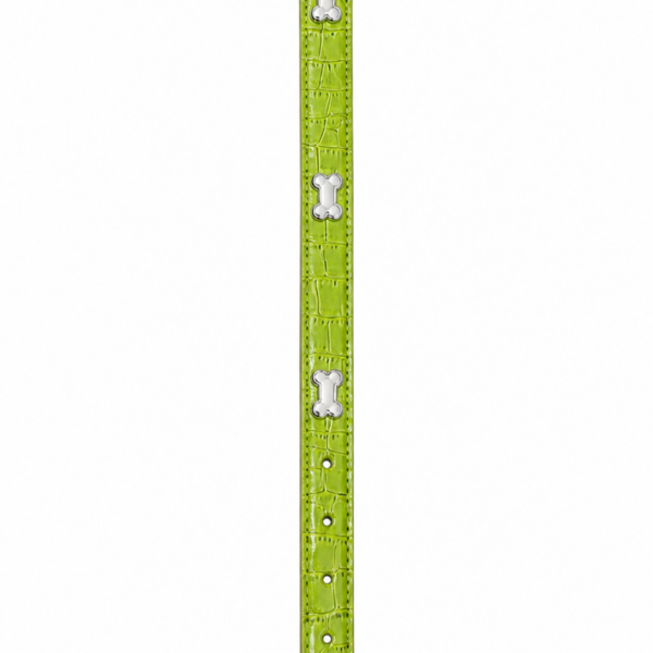 قلاده گردنی سگ ام پتس طرح چرم سبز M-PETS Green Leather Dog Collar سایز اسمال