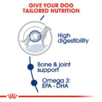 غذای خشک سگ بالغ نژاد بزرگ رویال کنین Royal Canin Maxi Adult وزن 15 کیلوگرم - Image 3