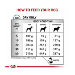 غذای خشک سگ مراقبت از پوست رویال کنین Royal Canin Skin Care وزن 2 کیلوگرم - Image 5