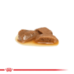 پوچ گربه رنال رویال کنین با طعم مرغ Royal Canin Renal Chicken وزن 85 گرم - Image 3