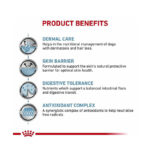 غذای خشک سگ مراقبت از پوست رویال کنین Royal Canin Skin Care وزن 2 کیلوگرم - Image 3