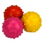 اسباب بازی سگ و گربه مدل گوی Large Spiky Ball Pet Toy سایز بزرگ