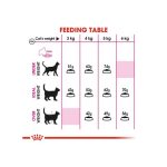 غذای خشک گربه بد غذا رویال کنین Royal Canin Savour Exigent Cat Dry Food وزن 2 کیلوگرم - Image 5