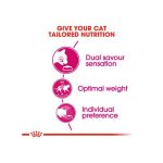 غذای خشک گربه بد غذا رویال کنین Royal Canin Savour Exigent Cat Dry Food وزن 2 کیلوگرم - Image 4