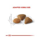 غذای خشک گربه بد غذا رویال کنین Royal Canin Savour Exigent Cat Dry Food وزن 2 کیلوگرم - Image 3