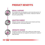 غذای خشک گربه رنال رویال کنین Royal Canin Renal وزن 2 کیلوگرم - Image 4