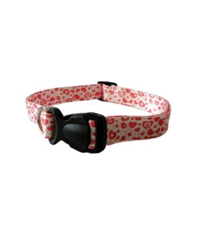 قلاده گردنی سگ مستر