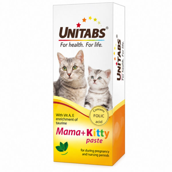 خمیر تقویتی گربه مادر و بچه Neoterica Unitabs Mama + Kitty Paste وزن ۱۲۰ گرم